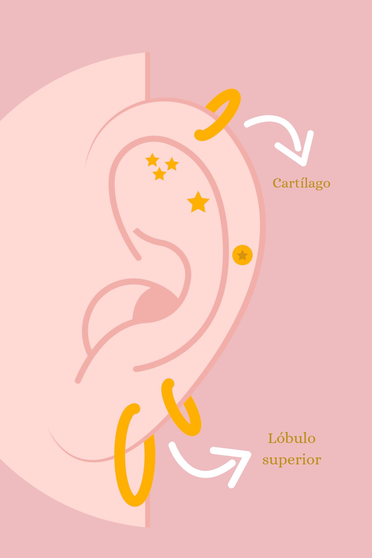 Ear Piercing Appoiment - Estilos by Ytalia