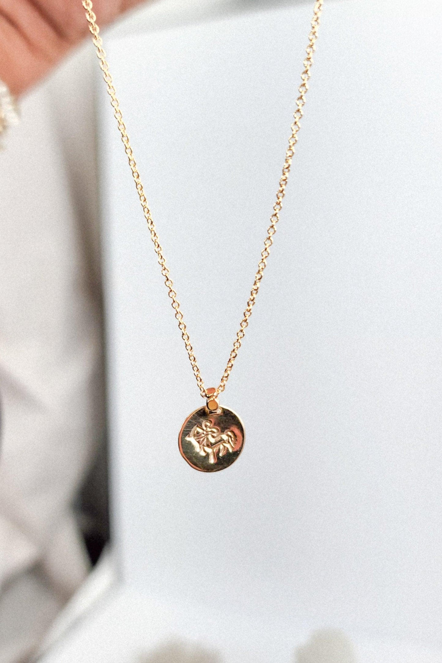 My Animal Zodiac Necklace GF : Astrology - Estilos by Ytalia