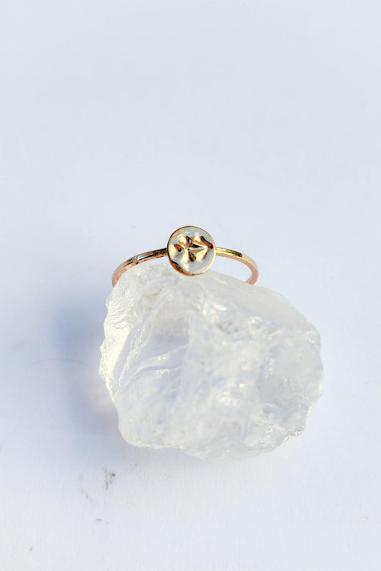 Zodiac Sign Anillo GF : Astrology - Estilos by Ytalia